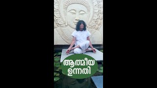 യോഗാദിനം പ്രമാണിച്ചു ഞാൻ എന്റെ വികാരം കുറക്കാൻ ശ്രമിക്കുകയാണ്...നിങ്ങൾ ഒരു വികാരിയാണോ?| boche