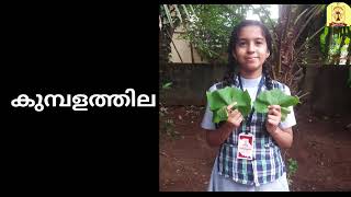 SEED ACTIVITY 2022-23( PATHILAKAL)