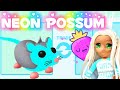 Making & trading neon possum in adopt me