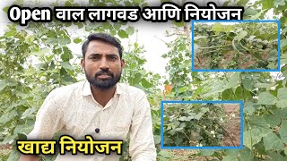 OPEN वाल लागवड खर्च आणि खाद्य नियोजन || Kami kharchat Val lagwad Ani Harvesting || #शेतीमळा