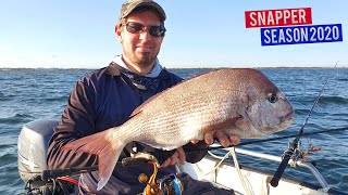 Snapper Fishing Port Phillip Bay Melbourne Cup 2020