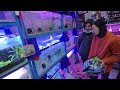 nature aquatic nepal an amazing plant store in kathmandu aquariumplants aquariumstorevlog aqua