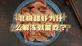 instant shrimp after thawing 北极甜虾为什么解冻就能吃