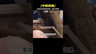 熊孩子高鐵吵鬧7小時，列車長都沒辦法，不料惹怒暴躁東北女乘客