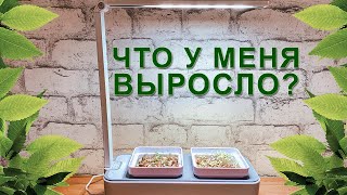 Распаковка и обзор умного сада iGarden LED