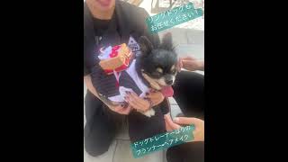 岡山市　結婚式　ペット婚　愛犬と一緒に過ごせる結婚式場