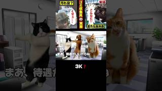 【実話】ゴミ収集員の実態がヤバかった　#猫ミーム #cat #猫マニ