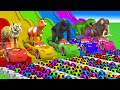 PAW Patrol Guess The Right Door ESCAPE ROOM CHALLENGE Animals Tire Game Cow Mammoth Gorilla Tiger