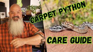 Complete Care Guide for CARPET PYTHONS