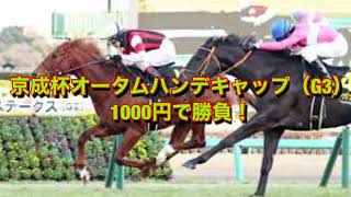 京成杯オータムハンデキャップ（G3） 1000円で勝負！