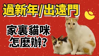 【新年特輯】過新年 出遠門 家裏的貓咪怎麼辦？貓咪獨自在家可以嗎？｜烏骨肌