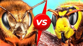 Japanese Bees Do One Insane Thing to Defeat Giant Hornets