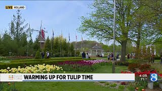 Weekend weather should cooperate for Tulip Time