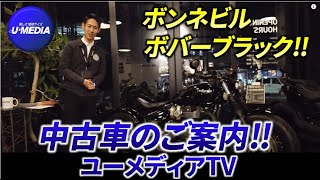 新車で手に入らないボンネビルボバーブラックの中古車が入荷致しました！トライアンフ茅ケ崎の中元が丁寧にご説明致します！