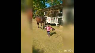 Roohi walking a horse 🐎