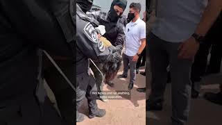 Israeli police appear to force Gaza flotilla activists to kneel with hands tied
