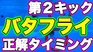 バタフライ ドルフィンキック 腕を使って うねりのコツ タイミング を習得する練習方法