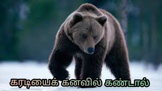 கரடியைக் கனவில் கண்டால் | karadiyai kanavil kandal enna palan | bear in dream | Anita's clips