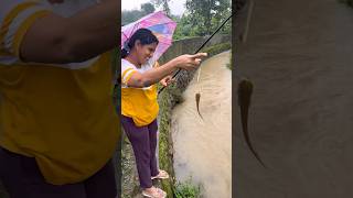 മഴയത്തു പിടിച്ച മീനിനെ കണ്ടോ | Rain fishing Malayalam | #rainfishing #fishingmalayalam #fishing