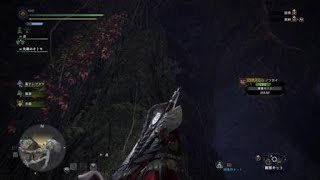 MHW：アイスボーン　コダイジュノツカイ　古代樹の森15_2020.2.14