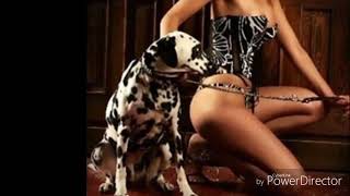 Mxtube.org :: Mexzoo Mp4 3GP Video & Mp3 Download unlimited Videos ...