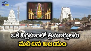 ఒకే విగ్రహంలో త్రిమూర్తులను మలిచిన ఆలయం. | Suchindram Thanumalayan Temple,Tamilnadu  | Eyecon facts