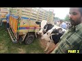 03 09 2024 matrapalli cowmarket tirupattur district part 2