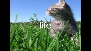 life