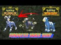 So fangt ihr ganz EINFACH *SHINY* Hunduster & Hundemon in Pokemon Karmesin und Purpur