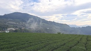 阿里山公路上容易錯過的美景～隙頂【雲頂步道】