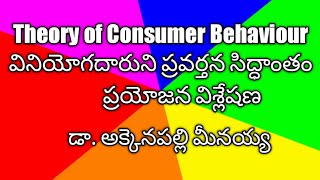 Theory Of Consumer Behavior Utility Analysis
