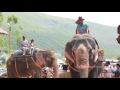 safari elephants biggest slaves on earth മുന്നാറിലെ ആന സവാരി munnar