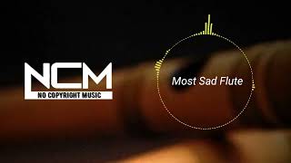 No Copyright Music | Sad Flute Music | Copyright free background music | Royalty Free Music | NCS |