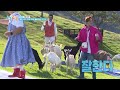 goats 🐐 two days and one night 4 ep196 2 kbs world tv 231029