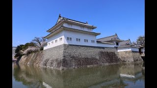 JG8K HDR 静岡 桜の駿府城 Shizuoka,Sunpu Castle in Sakura Season