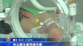 【新唐人/NTD】女嬰戰亂出生 加薩衝突逾千死亡｜加薩｜以色列｜巴勒斯坦｜紅十字會｜