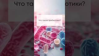 Что такое пребиотики?