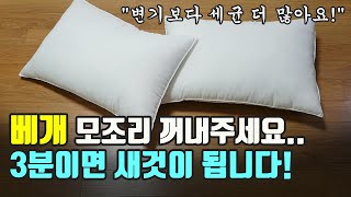 베개에 모조리 꺼내주세요! 3분이면 새것이 됩니다! (변기보다 세균이 더 많은 베개..)