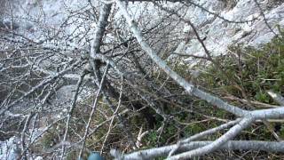 Arrampicata a fianco a Bellano