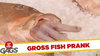 Gross Dead Fish Prank