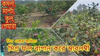 তিন একর জমিতে- কমলা, মাল্টা, কুল, পেয়ারা মিশ্র বাগান করে স্বাবলম্বী -কামালকাছনা,রংপুর এর কৃষক।