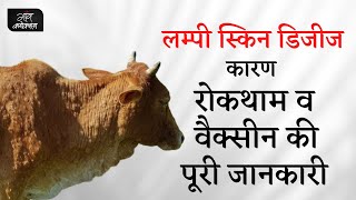 लम्पी स्किन डिजीज: कारण, रोकथाम व वैक्सीन की पूरी जानकारी || Lumpy Skin Disease