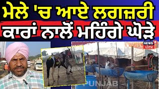 Talwandi Sabo | ਮੇਲੇ 'ਚ ਆਏ ਲਗਜ਼ਰੀ ਕਾਰਾਂ ਨਾਲੋਂ ਮਹਿੰਗੇ ਘੋੜੇ  | Horse Mela | Punjab News | N18V