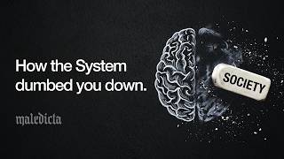 How Your Brain Was Pruned By The System