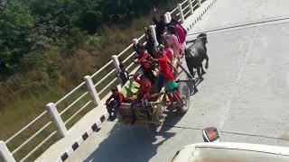 Kothiyaghat Bridge 1015 meters at Bardiya