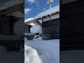 shorts 【田舎暮らし】雪がやんた朝【富山県南砺市】雪 青空 美しい日常