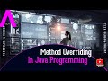 Method Overriding in java || Runtime polymorphism #java #javaprogramming