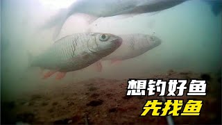 想釣好魚就要學會找魚，水下拍攝告訴妳魚都藏在哪裏，結果很明顯