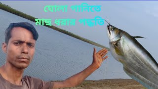 ঘোলা পানিতে বোয়াল মাছ ধরা পদ্ধতি ✓ muddy water catchfishing technique