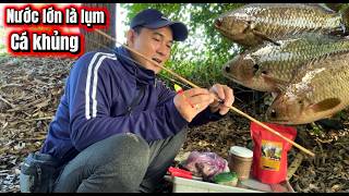 Canh Nước Lớn Quay Lại Bụi Tre Săn Là Có Hàng Khủng Liền-câu cá rô đồng / lãng tử miền tây T 125